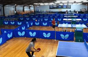 Players using blue table tennis tables at Auckland Table Tennis Association, bookable on SpacetoCo