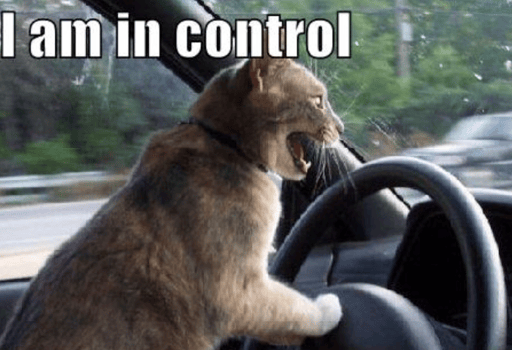 Meme of a cat with its paws on a car steering wheel and text reading "I am in control"
