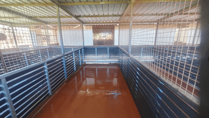 Row of empty outdoor dog kennels with wire mesh fencing and a concrete floor, bookable on SpacetoCo