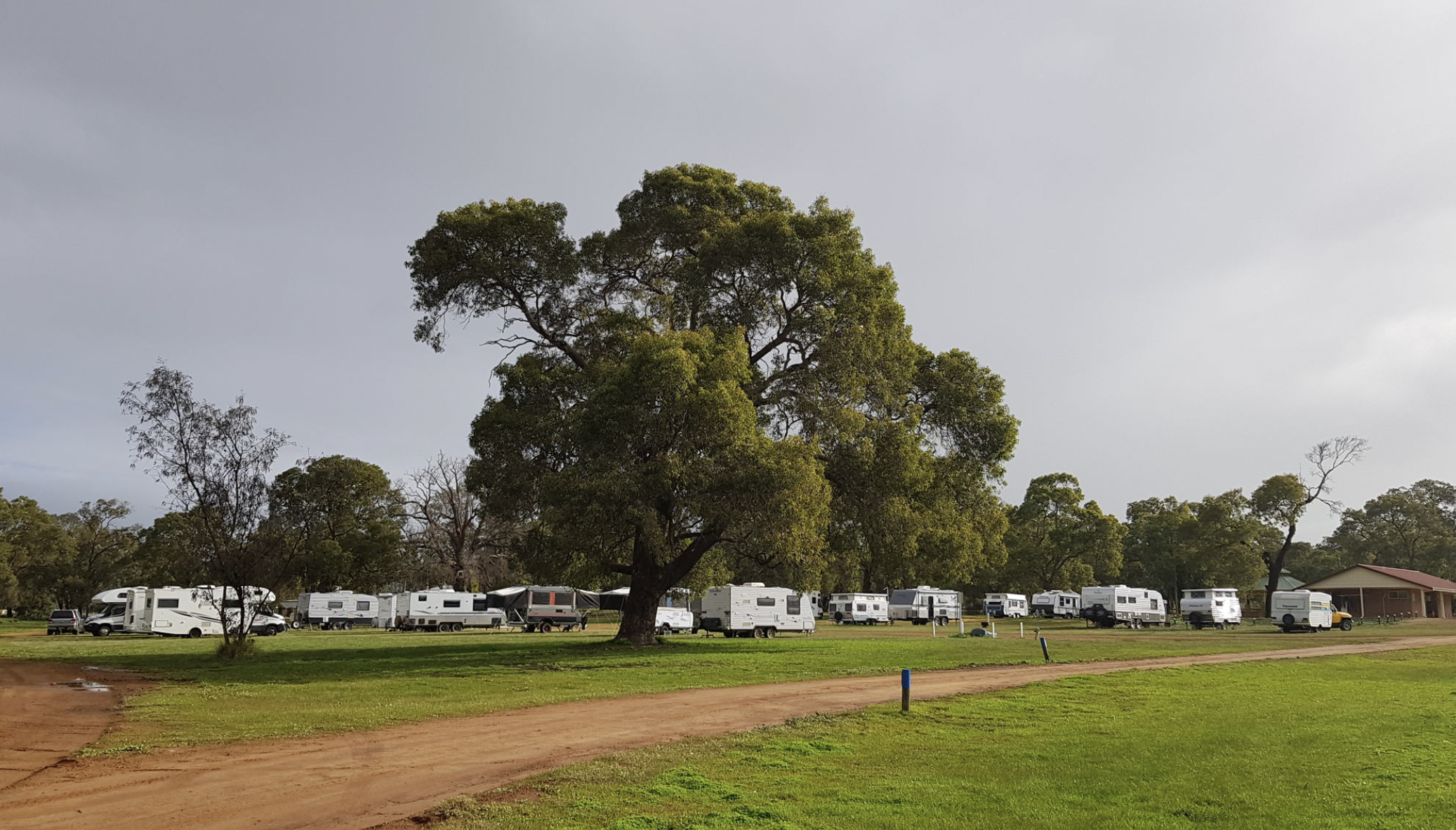 Dandaragan Transit Park campsite