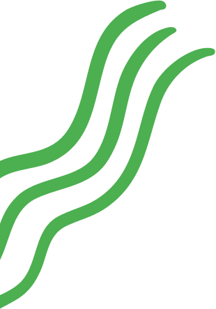 Squiggles (1)
