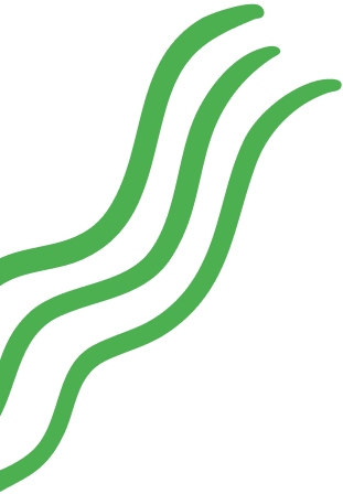 Squiggles (3) (1)