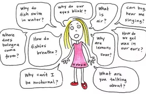 toddler questions