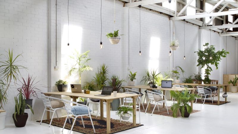 How businesses can benefit from sharing space