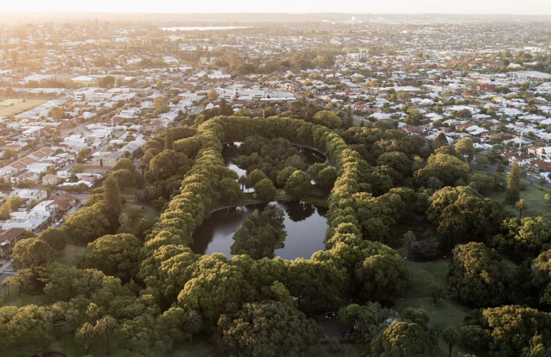 City of Vincent: Bookings growth and co-creation